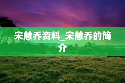 宋慧乔资料_宋慧乔的简介