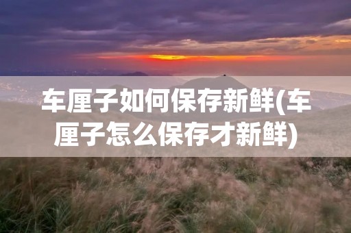 车厘子如何保存新鲜(车厘子怎么保存才新鲜)