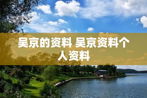 吴京的资料 吴京资料个人资料