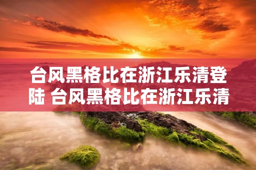 台风黑格比在浙江乐清登陆 台风黑格比在浙江乐清登陆视频