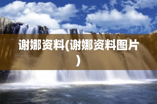 谢娜资料(谢娜资料图片)