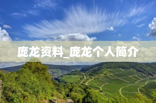 庞龙资料_庞龙个人简介