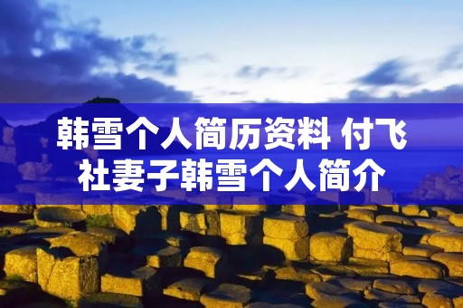 韩雪个人简历资料 付飞社妻子韩雪个人简介