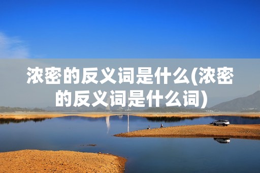 浓密的反义词是什么(浓密的反义词是什么词)