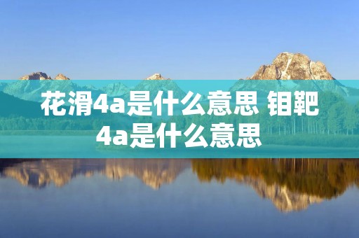 花滑4a是什么意思 钼靶4a是什么意思