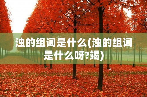 浊的组词是什么(浊的组词是什么呀?竭)