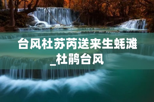 台风杜苏芮送来生蚝滩_杜鹃台风 台风杜苏芮送来生蚝滩_杜鹃台风