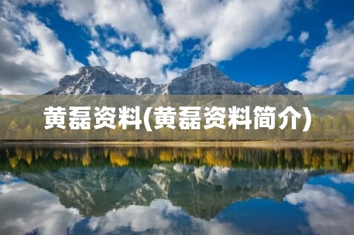 黄磊资料(黄磊资料简介)