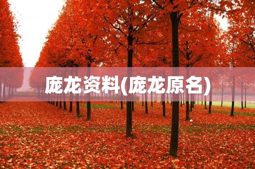 庞龙资料(庞龙原名)