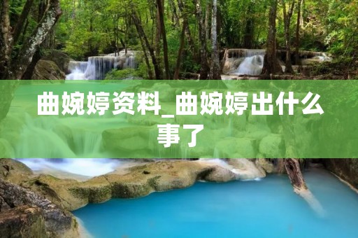 曲婉婷资料_曲婉婷出什么事了