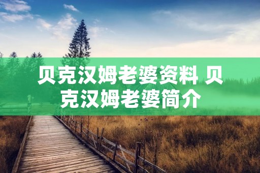 贝克汉姆老婆资料 贝克汉姆老婆简介