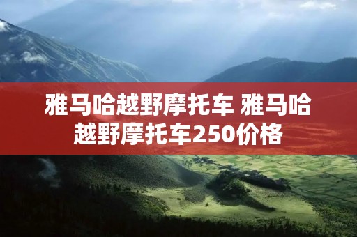 雅马哈越野摩托车 雅马哈越野摩托车250价格