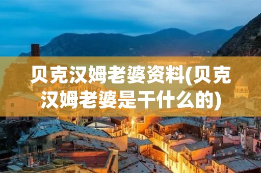 贝克汉姆老婆资料(贝克汉姆老婆是干什么的)