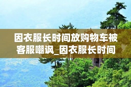 因衣服长时间放购物车被客服嘲讽_因衣服长时间放购物车被客服嘲讽是哪家店铺