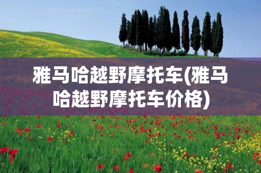 雅马哈越野摩托车(雅马哈越野摩托车价格)