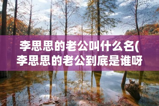 李思思的老公叫什么名(李思思的老公到底是谁呀)