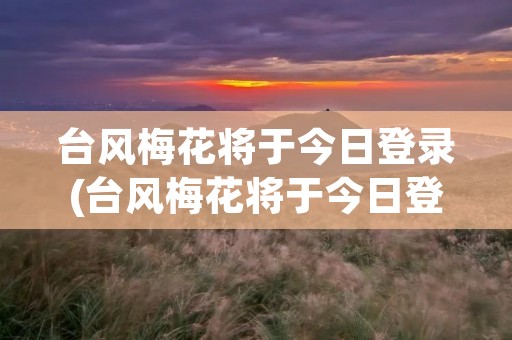 台风梅花将于今日登录(台风梅花将于今日登录上海)