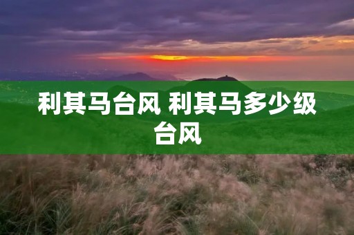 利其马台风 利其马多少级台风