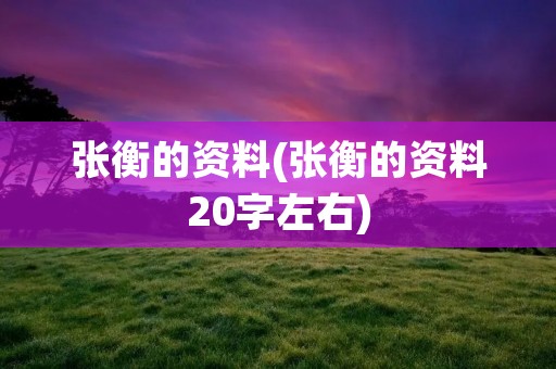 张衡的资料(张衡的资料20字左右)