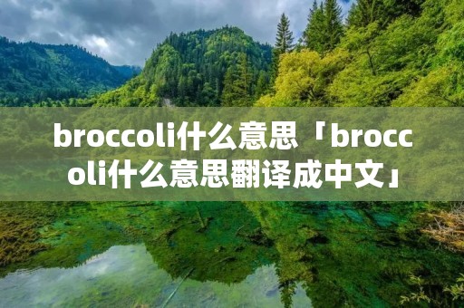 broccoli什么意思「broccoli什么意思翻译成中文」