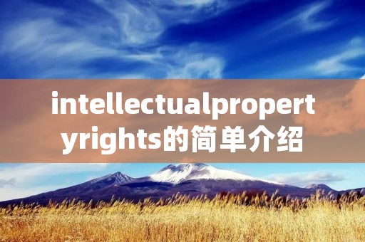 intellectualpropertyrights的简单介绍 intellectualpropertyrights的简单介绍