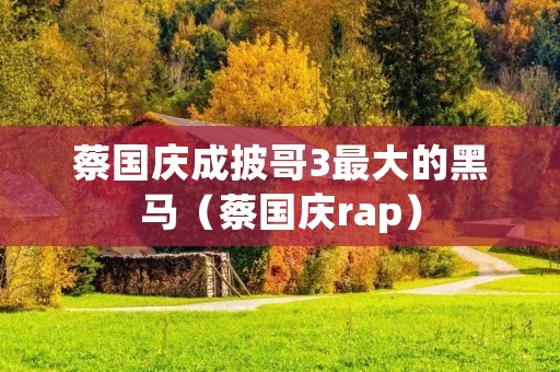 蔡国庆成披哥3最大的黑马（蔡国庆rap）