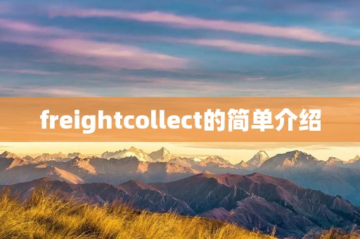freightcollect的简单介绍