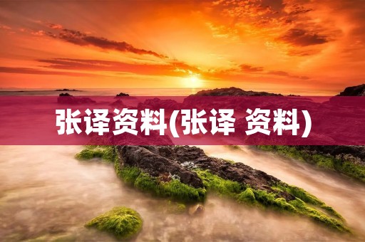 张译资料(张译 资料)