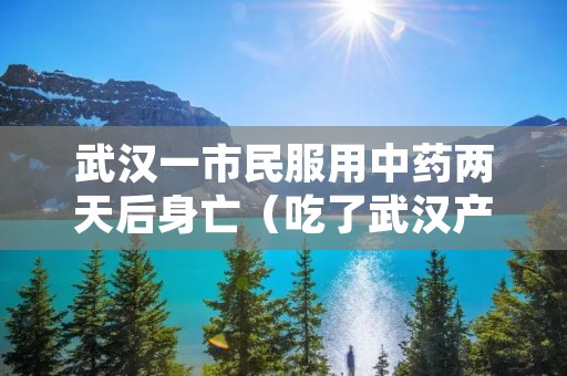 武汉一市民服用中药两天后身亡(吃了武汉产的药怎么办)