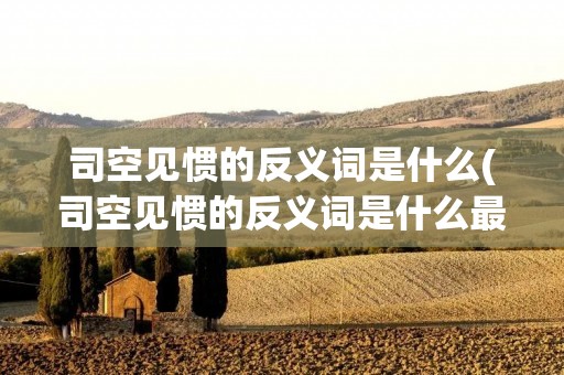 司空见惯的反义词是什么(司空见惯的反义词是什么最佳答案)