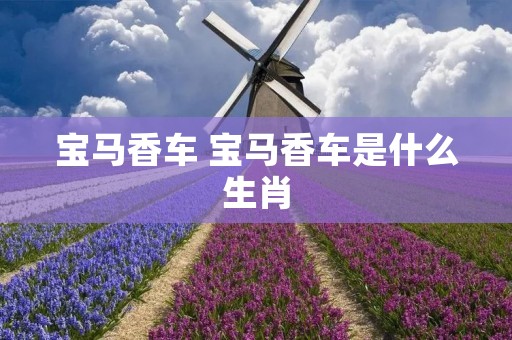 宝马香车 宝马香车是什么生肖
