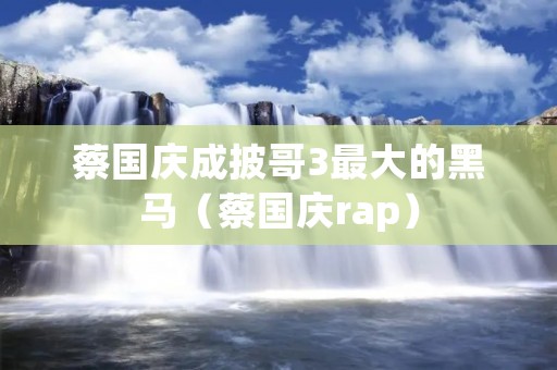 蔡国庆成披哥3最大的黑马(蔡国庆rap)