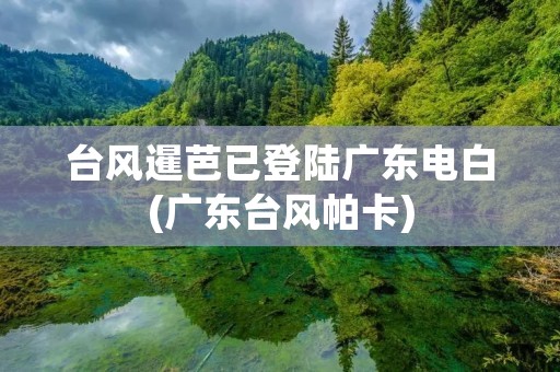 台风暹芭已登陆广东电白(广东台风帕卡)