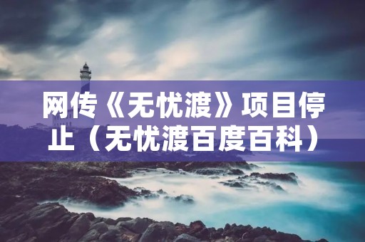 网传《无忧渡》项目停止(无忧渡百度百科)