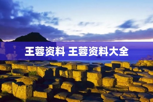 王蓉资料 王蓉资料大全