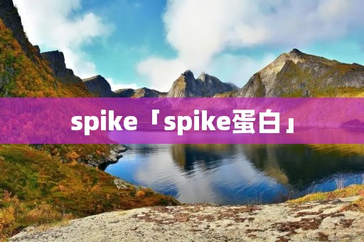 spike「spike蛋白」