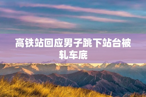 高铁站回应男子跳下站台被轧车底