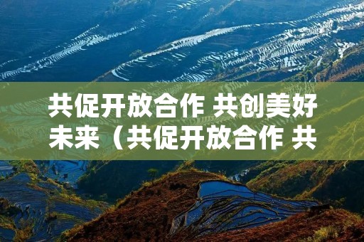 共促开放合作 共创美好未来(共促开放合作 共创美好未来心得体会)