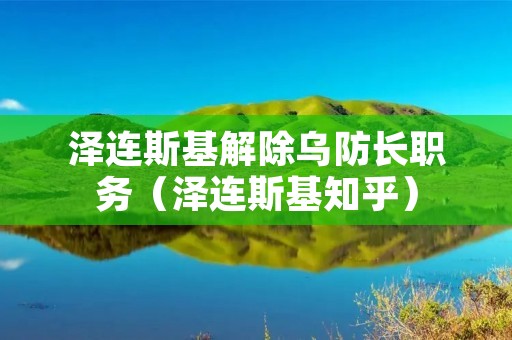 泽连斯基解除乌防长职务(泽连斯基知乎)