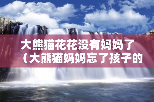 大熊猫花花没有妈妈了(大熊猫妈妈忘了孩子的视频)