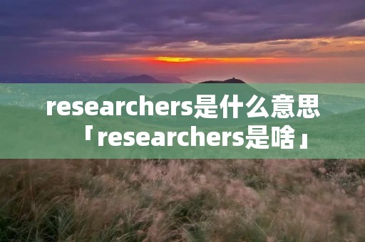 researchers是什么意思「researchers是啥」 researchers是什么意思「researchers是啥」