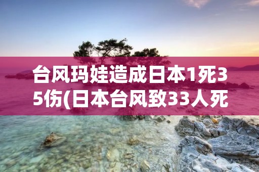 台风玛娃造成日本1死35伤(日本台风致33人死)