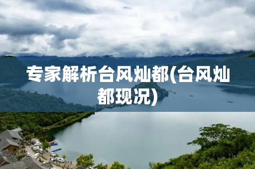 专家解析台风灿都(台风灿都现况)