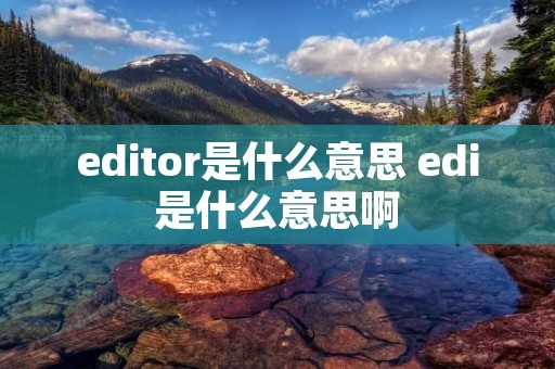 editor是什么意思 edi是什么意思啊 editor是什么意思 edi是什么意思啊