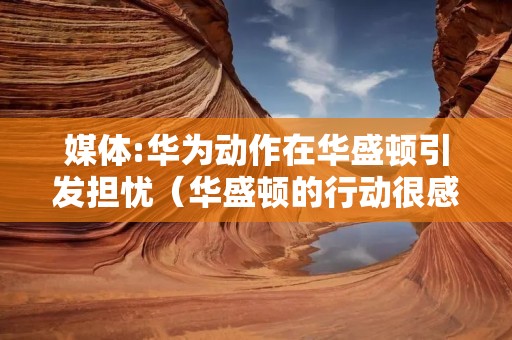 媒体:华为动作在华盛顿引发担忧(华盛顿的行动很感人,为了国家的事业)