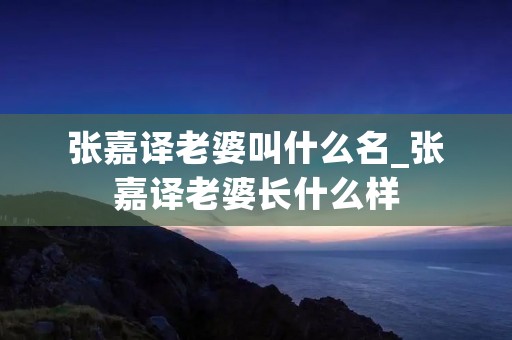 张嘉译老婆叫什么名_张嘉译老婆长什么样