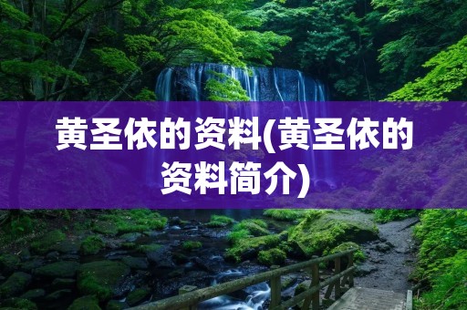 黄圣依的资料(黄圣依的资料简介)