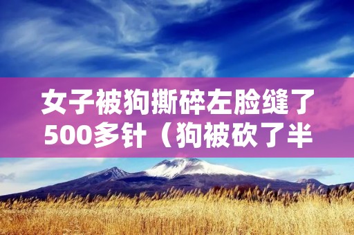 女子被狗撕碎左脸缝了500多针(狗被砍了半边脸)
