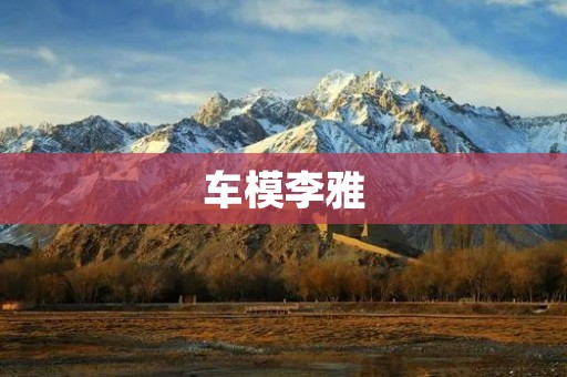 车模李雅