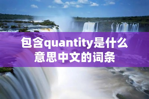 包含quantity是什么意思中文的词条